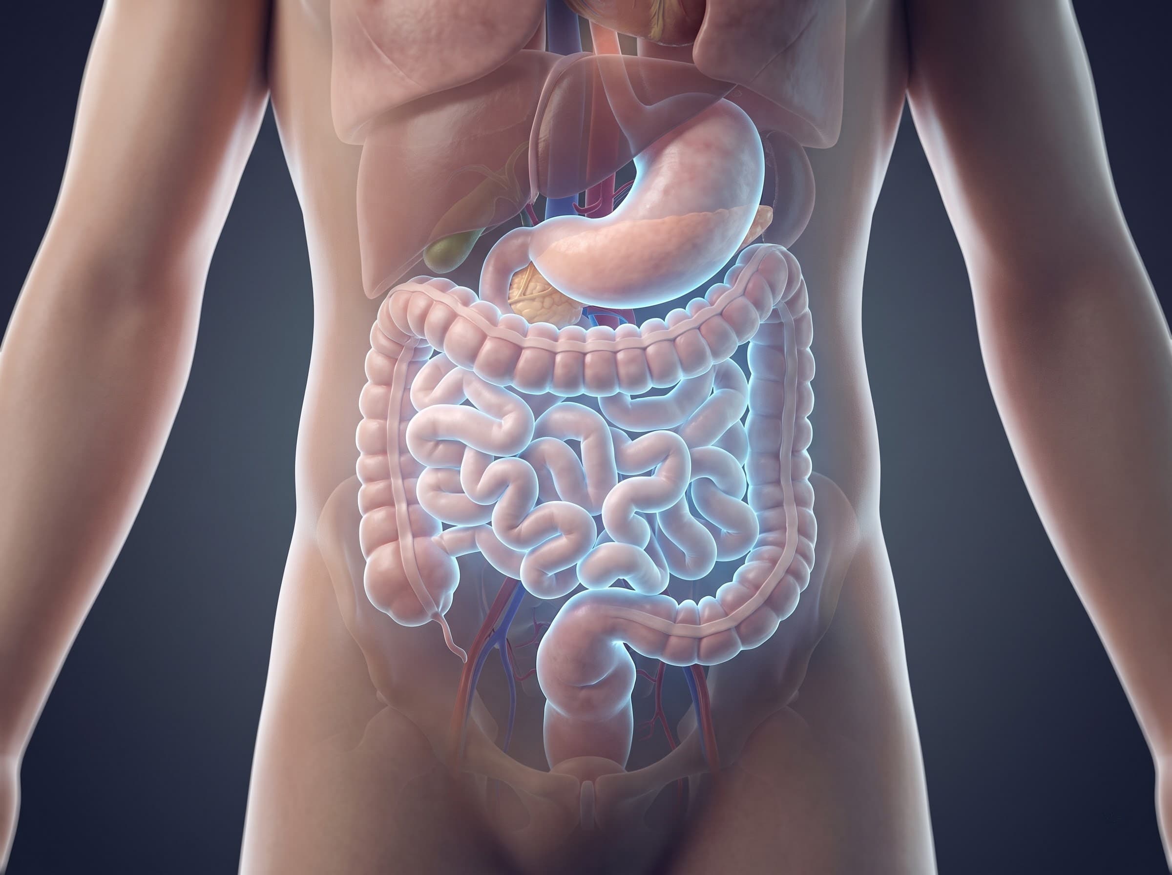 IBS (Irritable Bowel Syndrome) Diet Plan