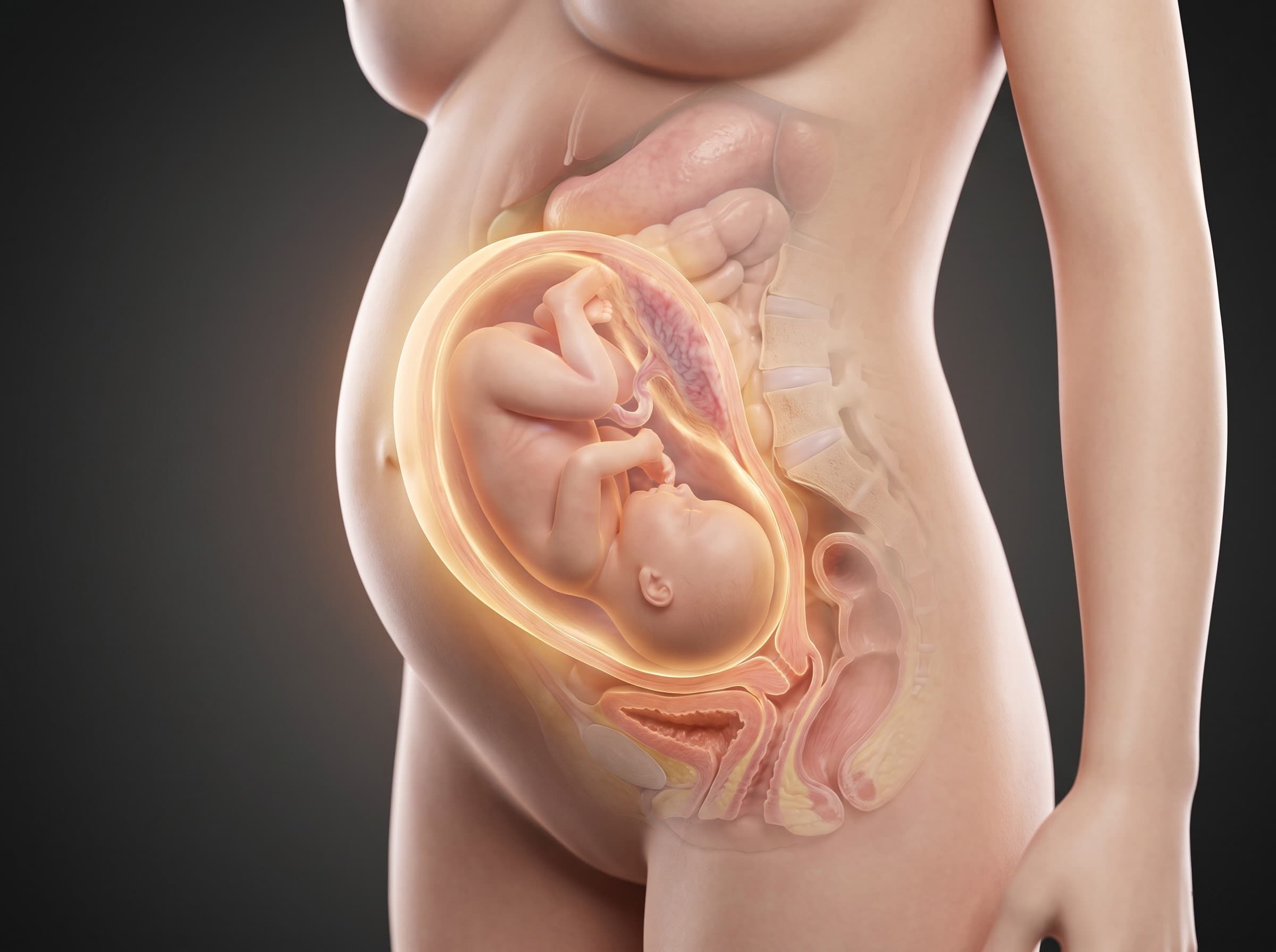 Pregnancy Diet Plan (Pre/Post)